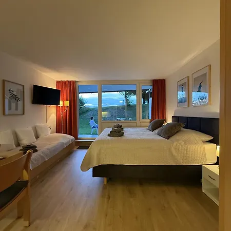 Appartamento Pool, Sauna, Wellness, Gartenterrasse Engelmeer Sankt Englmar